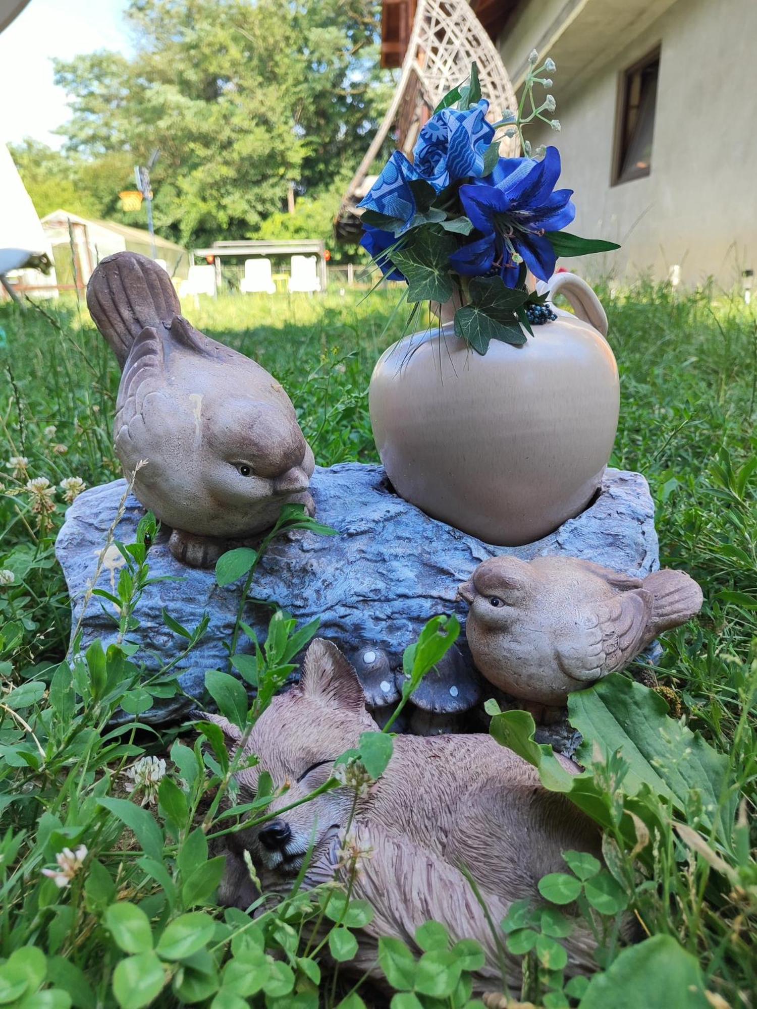 Happy Home Călimăneşti المظهر الخارجي الصورة