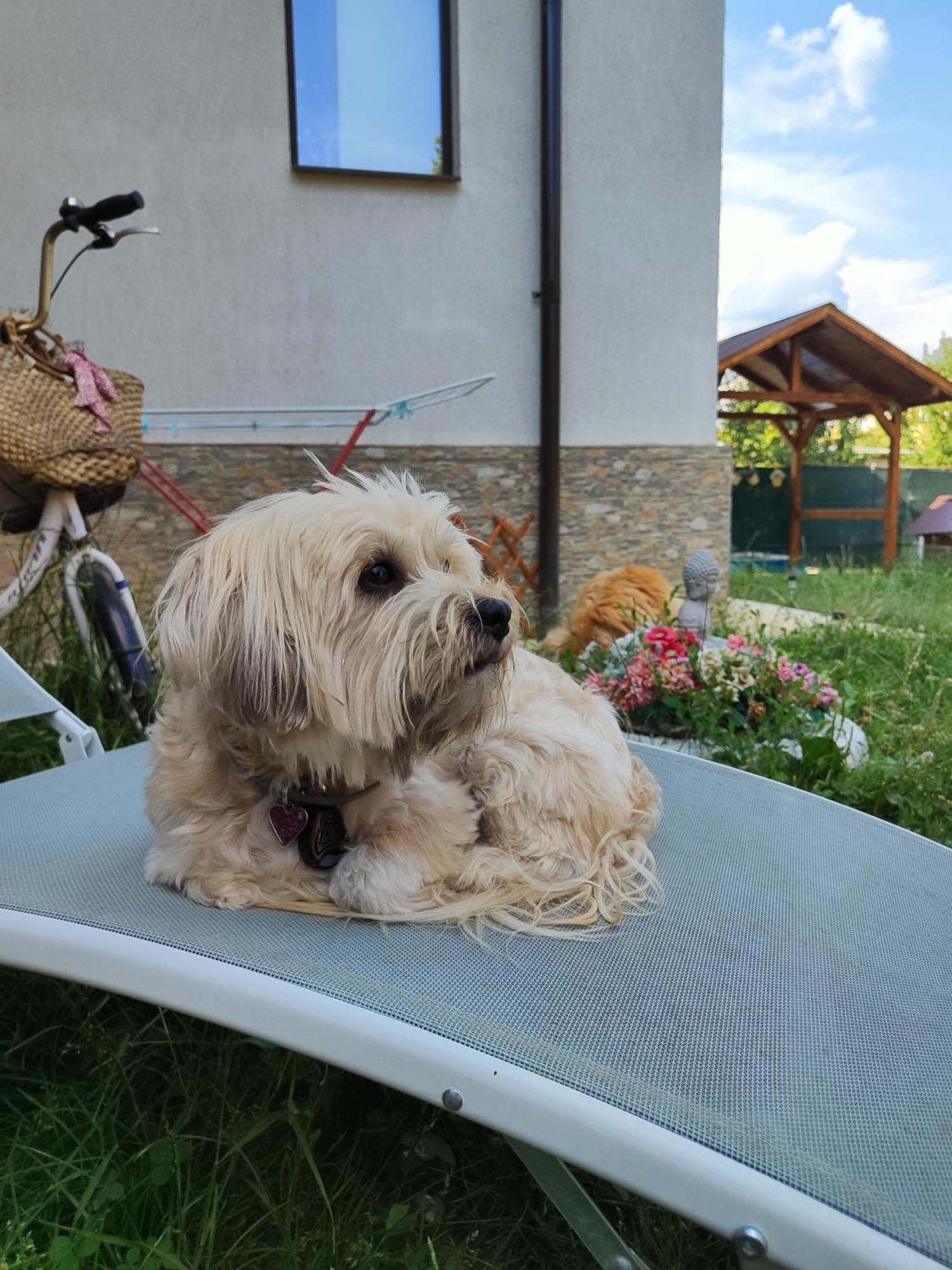 Happy Home Călimăneşti المظهر الخارجي الصورة
